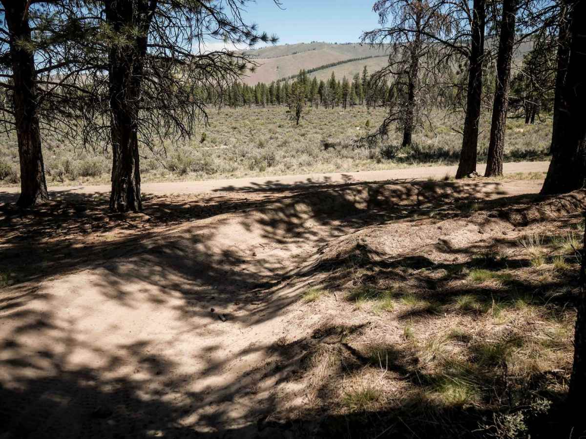 Learner's Loop photo 5