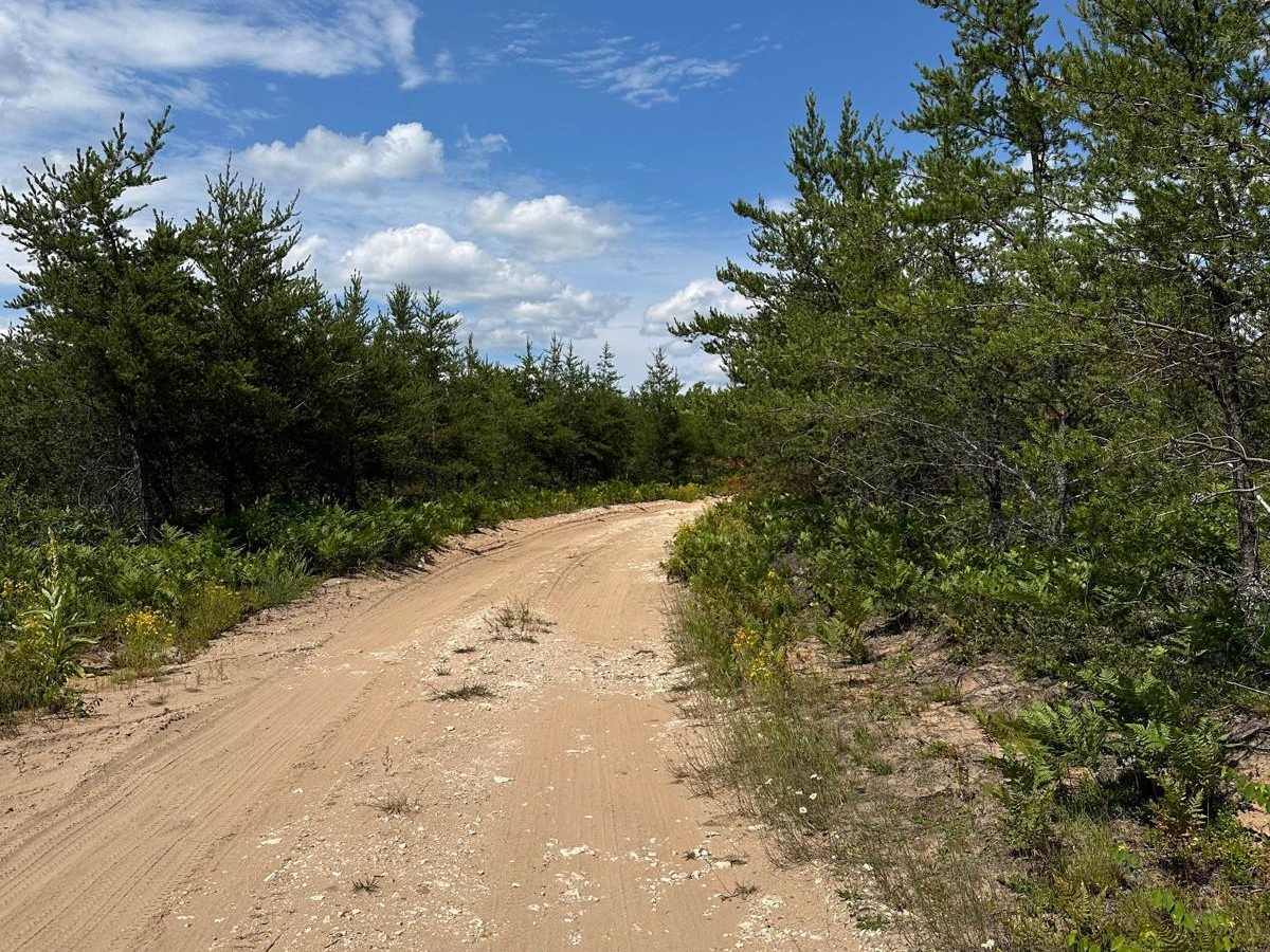 Clark trail photo