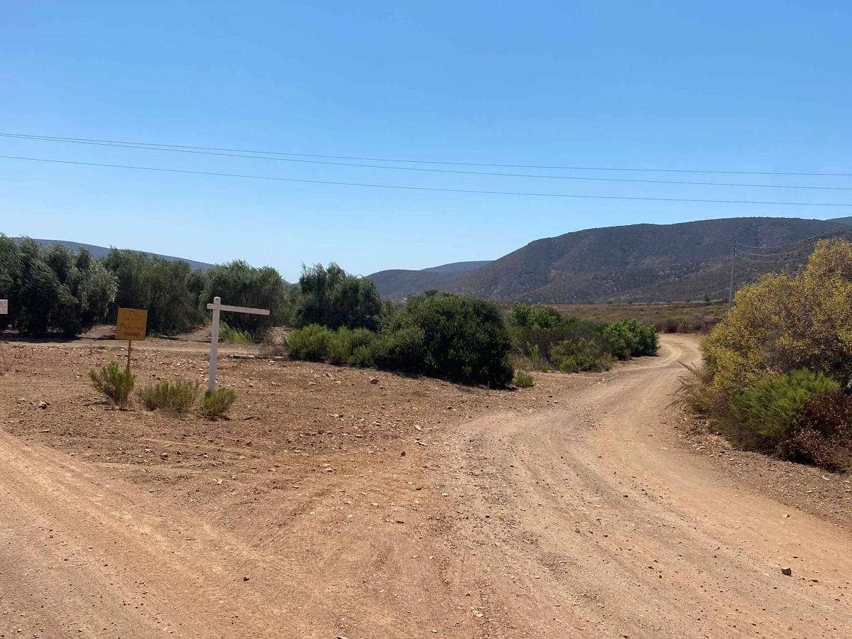 South of Cerro Blanco photo 2