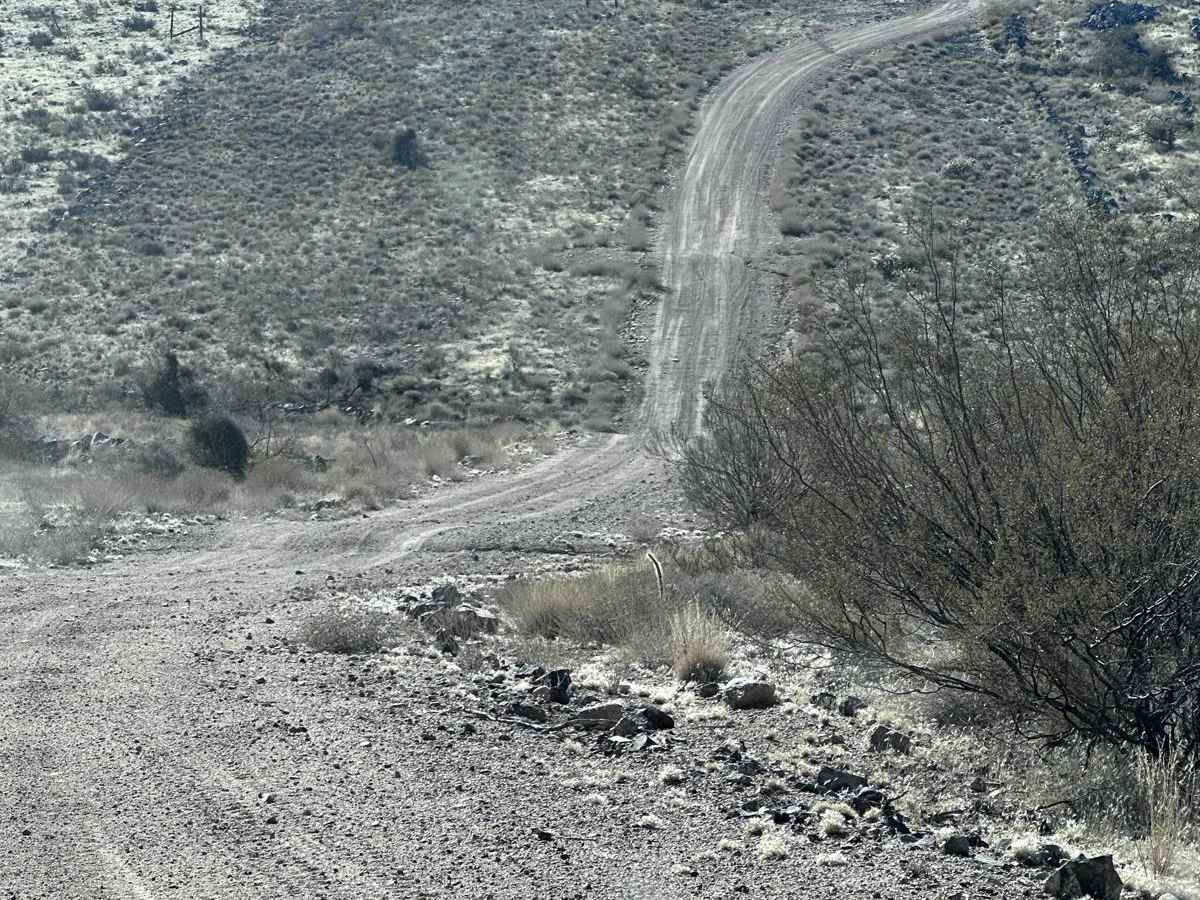 Kingman Rollercoaster photo 3