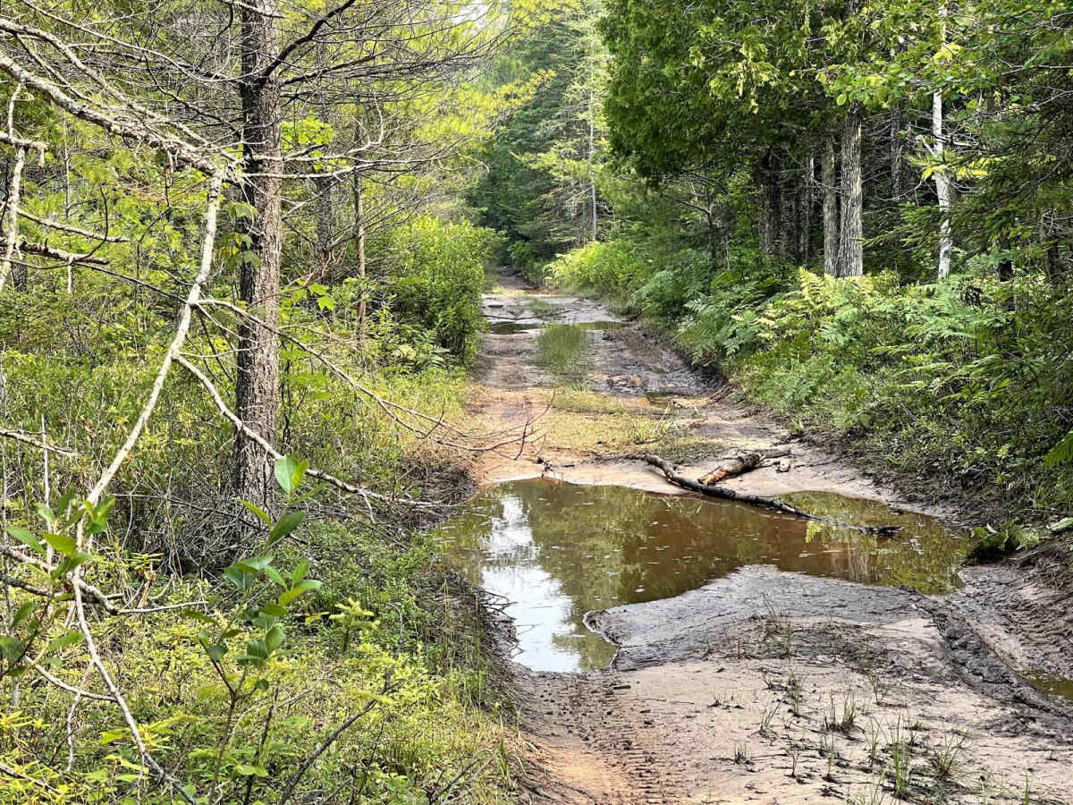 Hay Lake Spur Trail photo 5