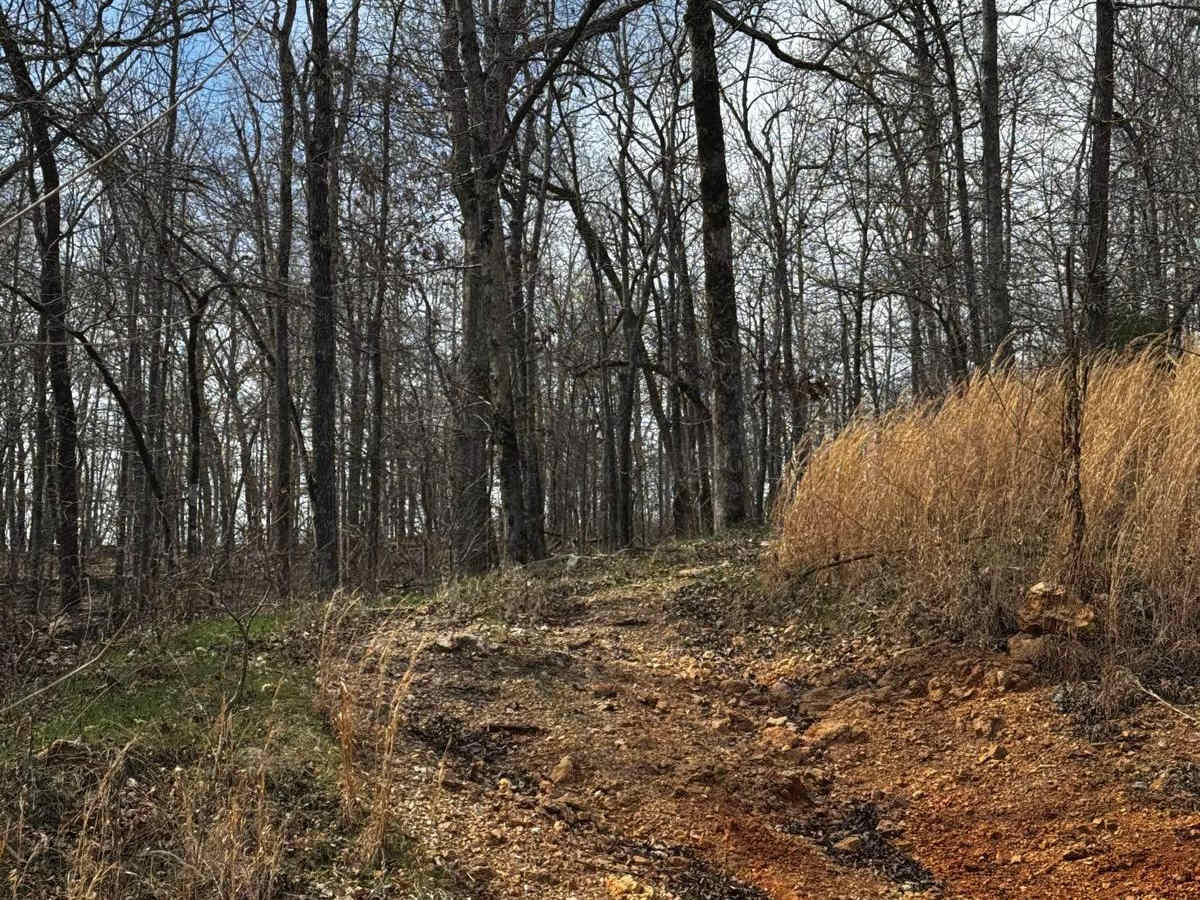 Hillside Track 2 photo 2