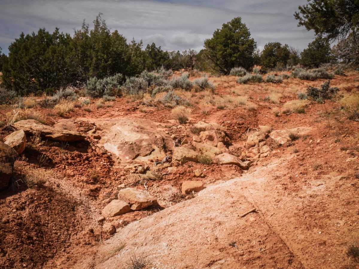 Cheese and Raisins trail photo
