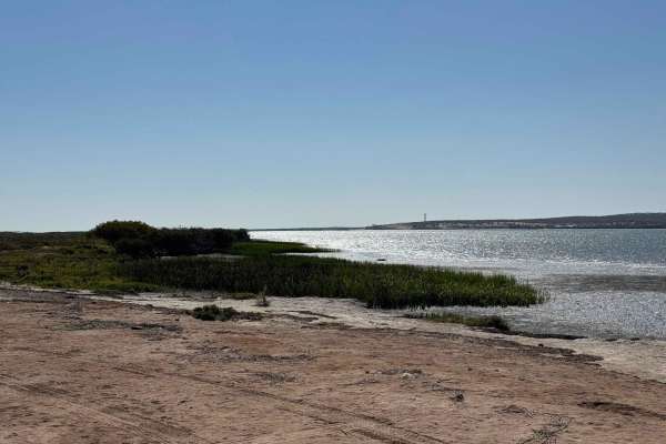 Estero Loop