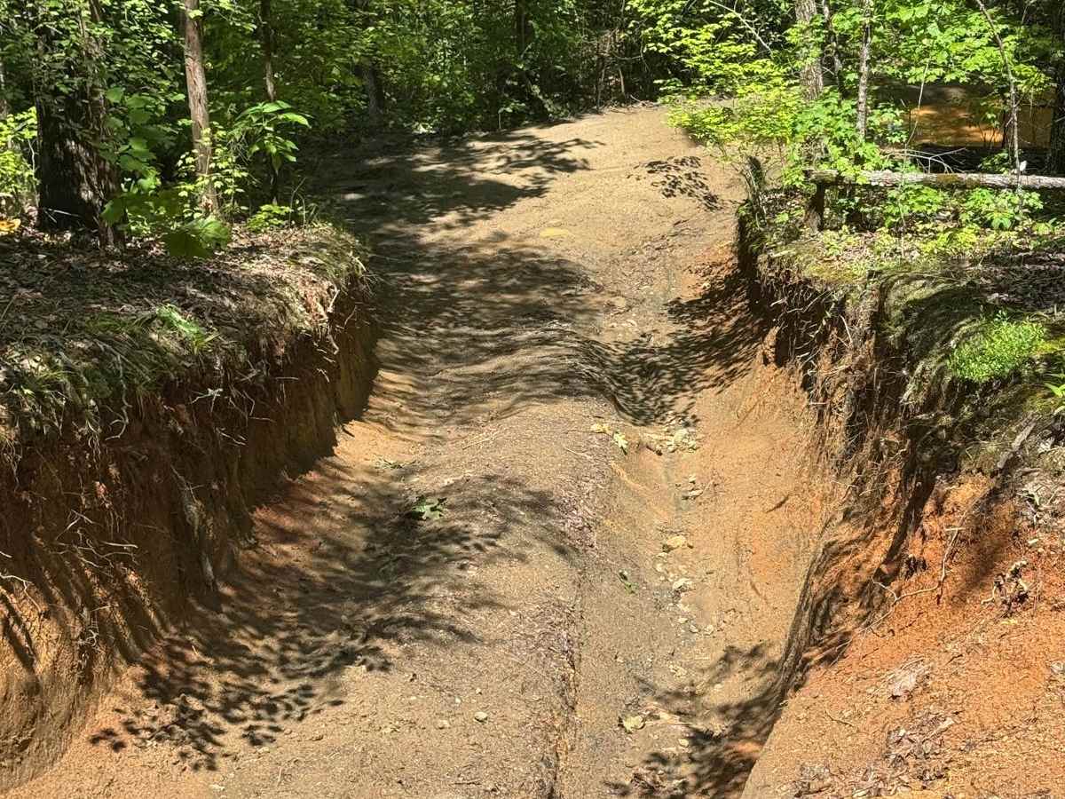 Clemson Trail photo 3