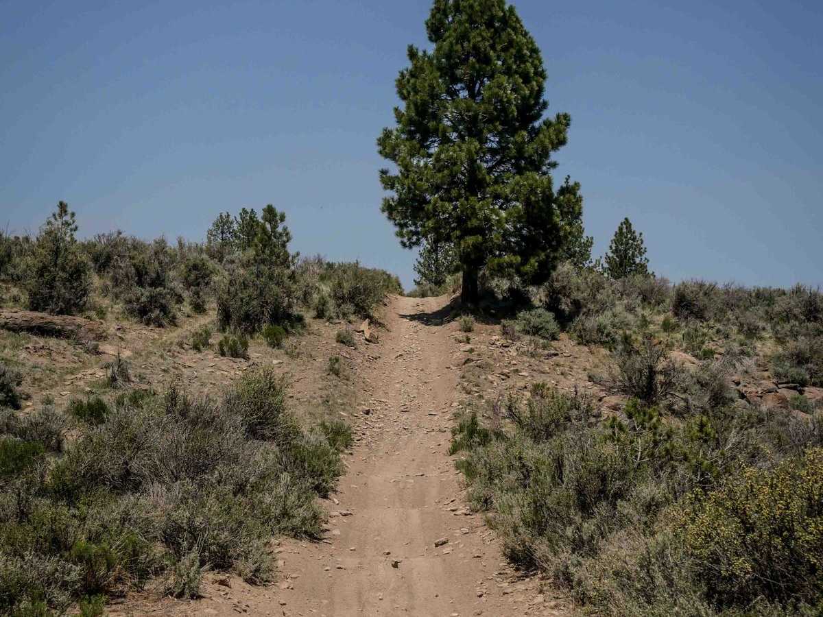 43 trail photo