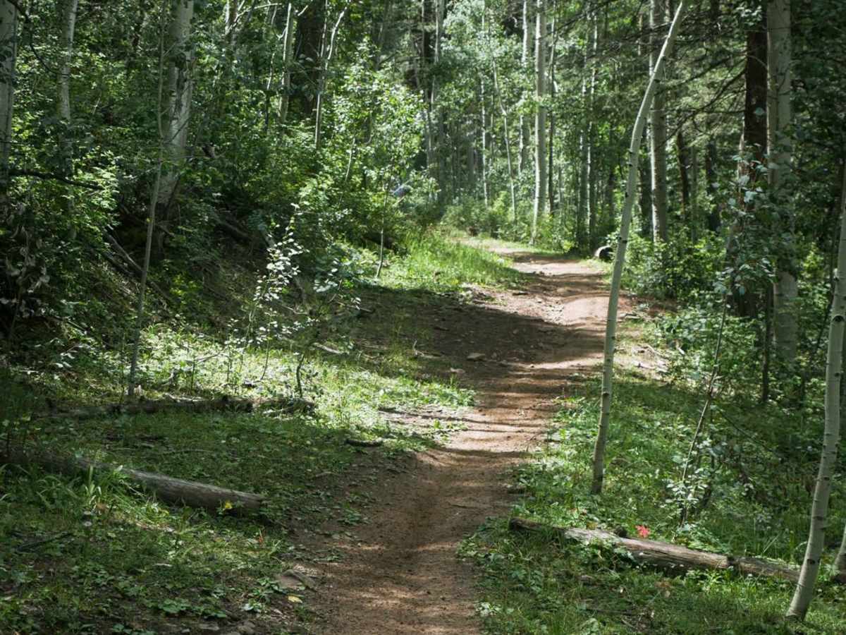 Rim Trail photo 2