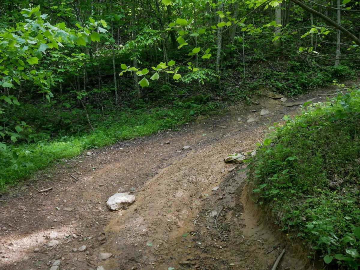 RV28 photo 3