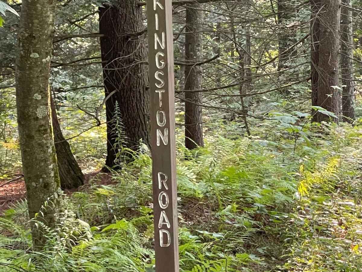 Kingston Road trail photo