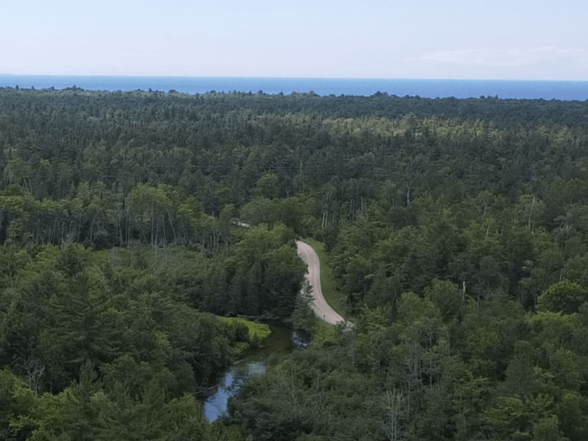 Brevoort River Trail - FSR 3303 photo 3