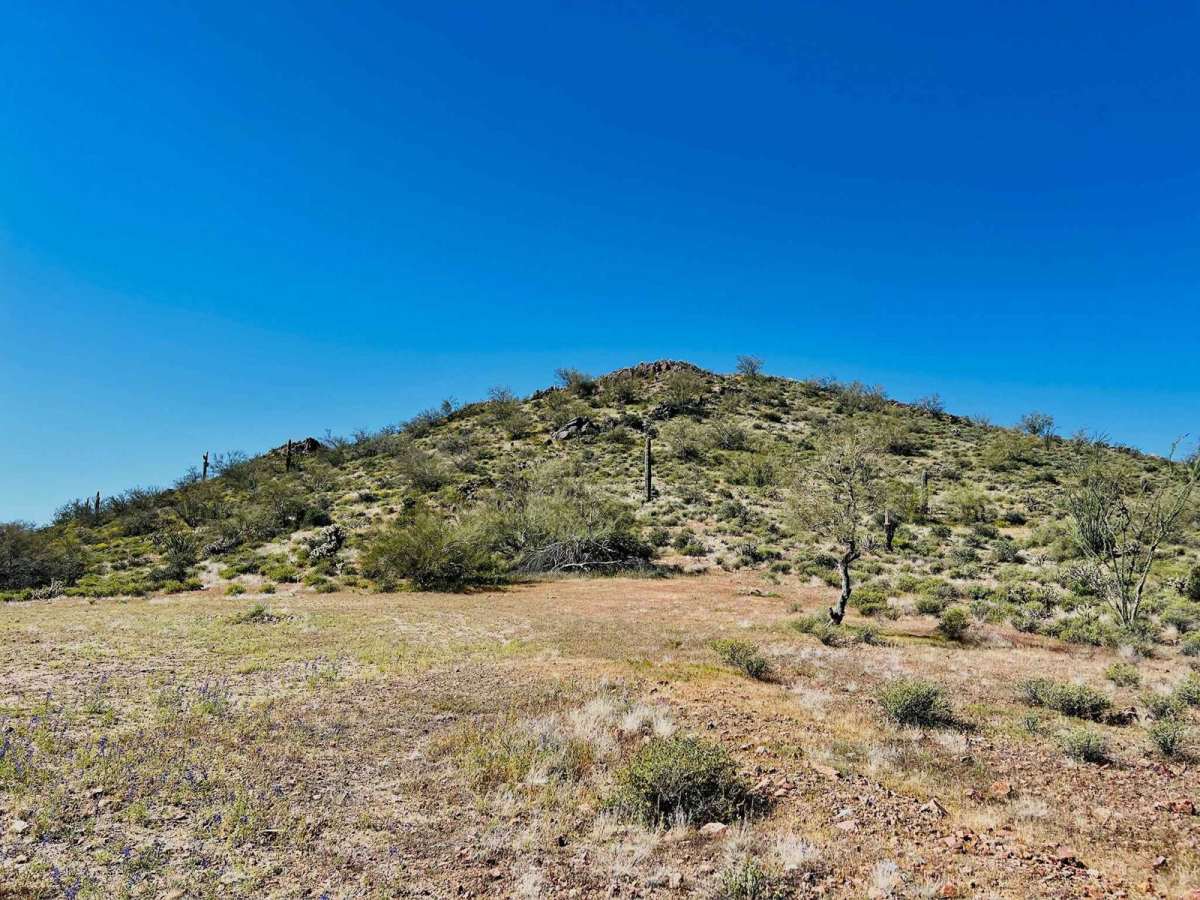 Jimmie Wash Access Trail photo 6