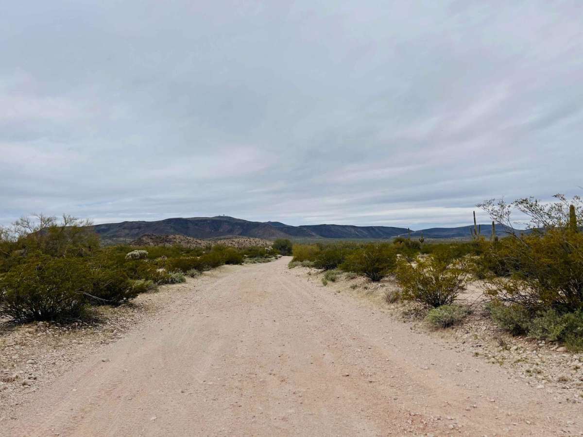 Old Car Camp Ajo photo 2