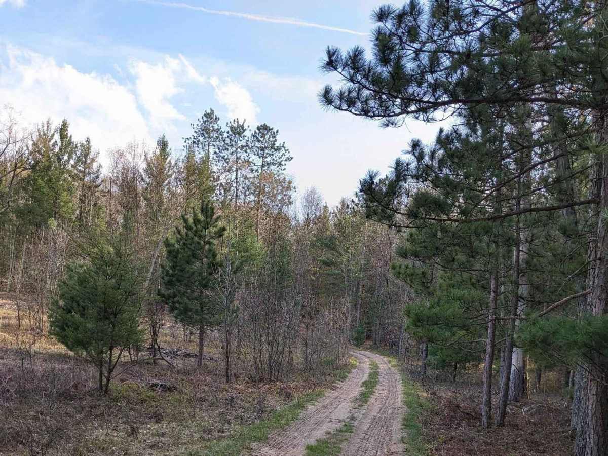 NW Little Manistee Route photo 4