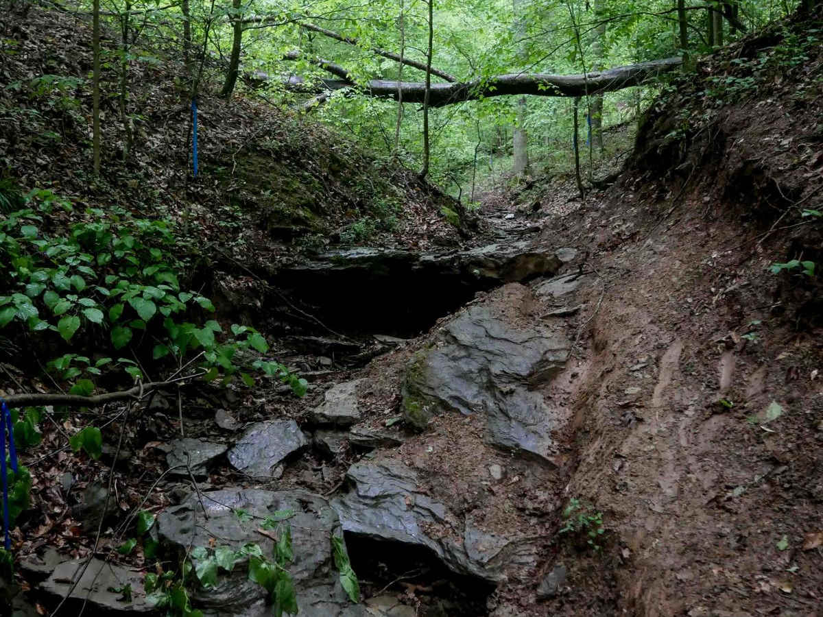 T91 trail photo