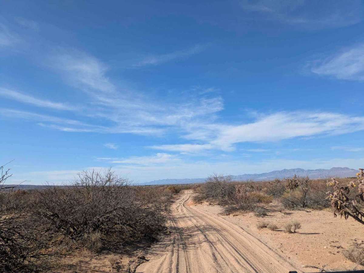 Artesia Road photo 4