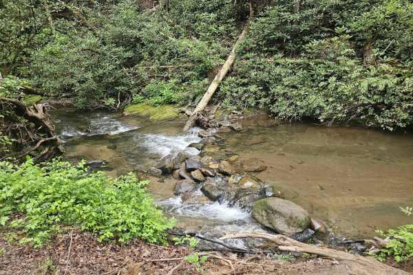 Tuckaluge Creek Road/153