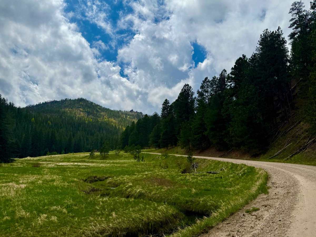 Spring Creek Road - FS 305 photo 6