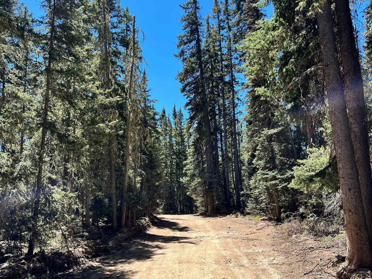 Greenie Peak via Cabresto Canyon - FS 54 photo 4
