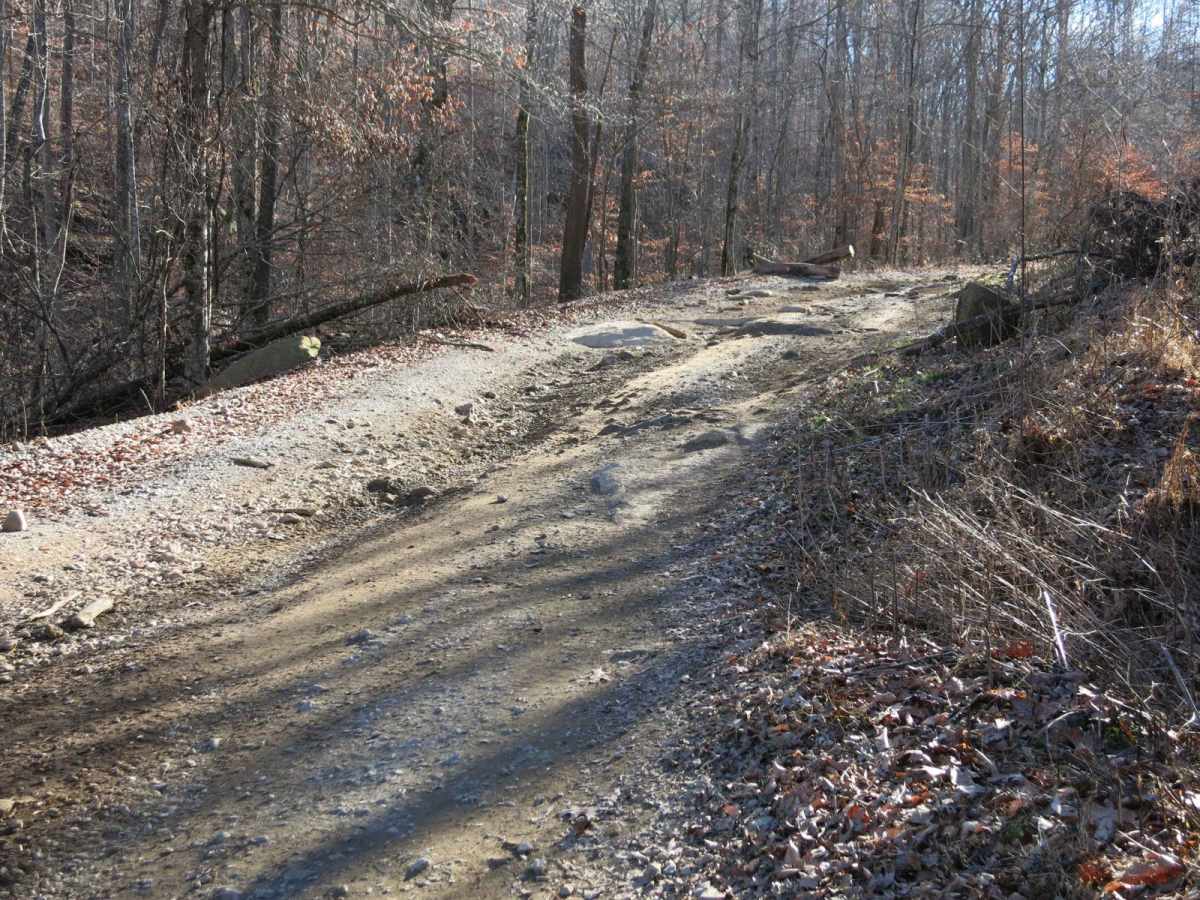 Trail 37 - Hickory Creek Trail photo 2