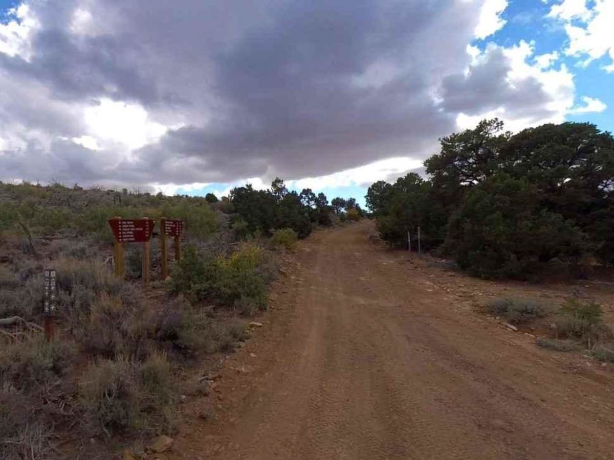 The Horn Road-BLM14000 photo 3