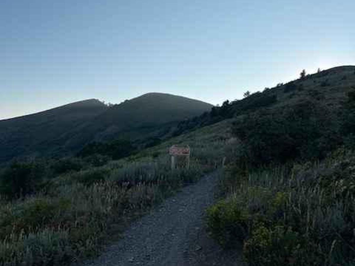Coldwater Peak (6087) trail photo