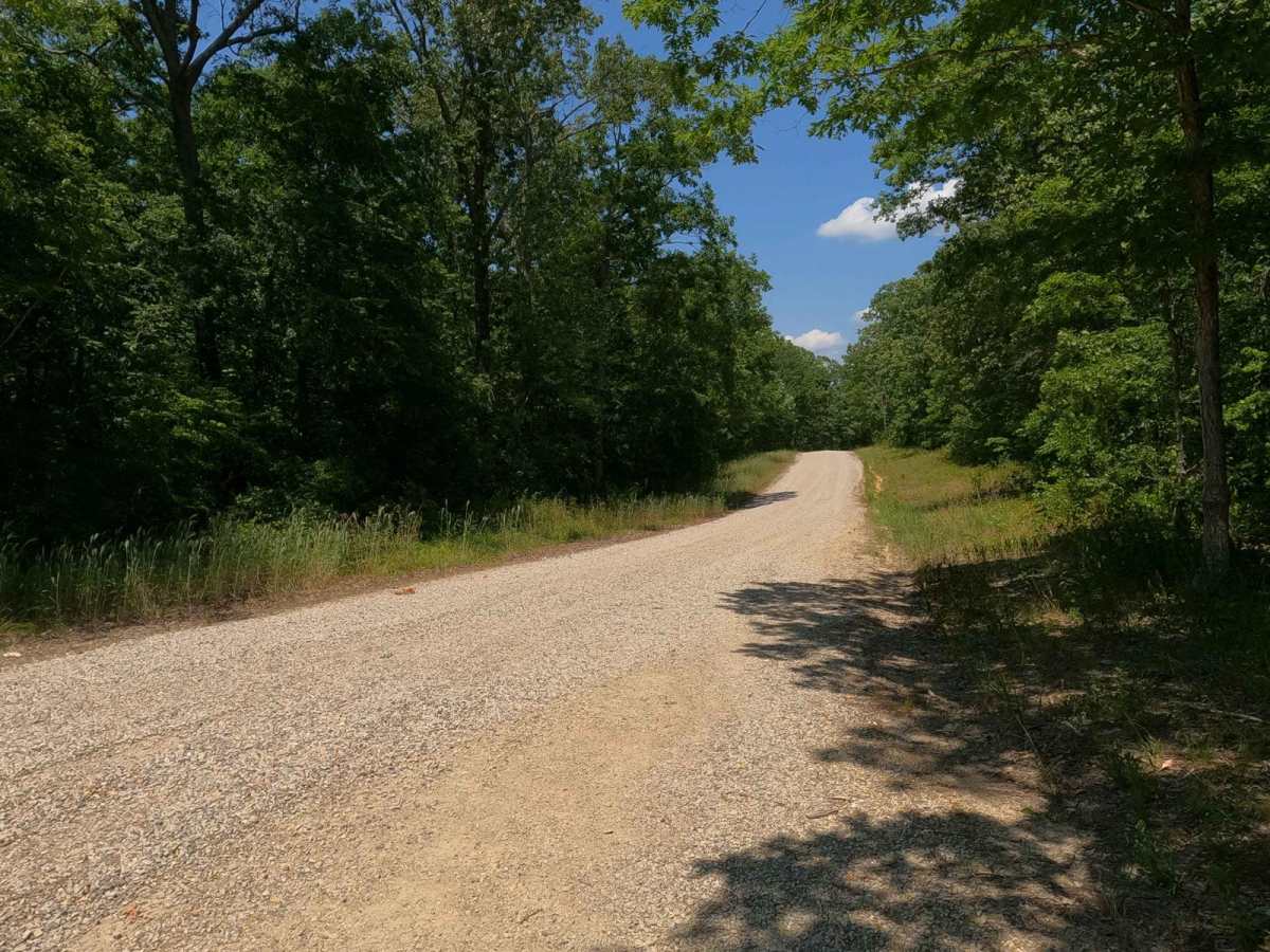 Castor River CA Camp Road photo 5