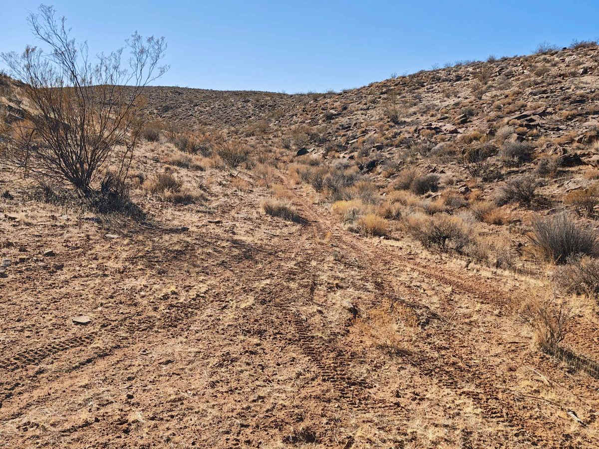Flat Rock Canyon - Single Track trail photo