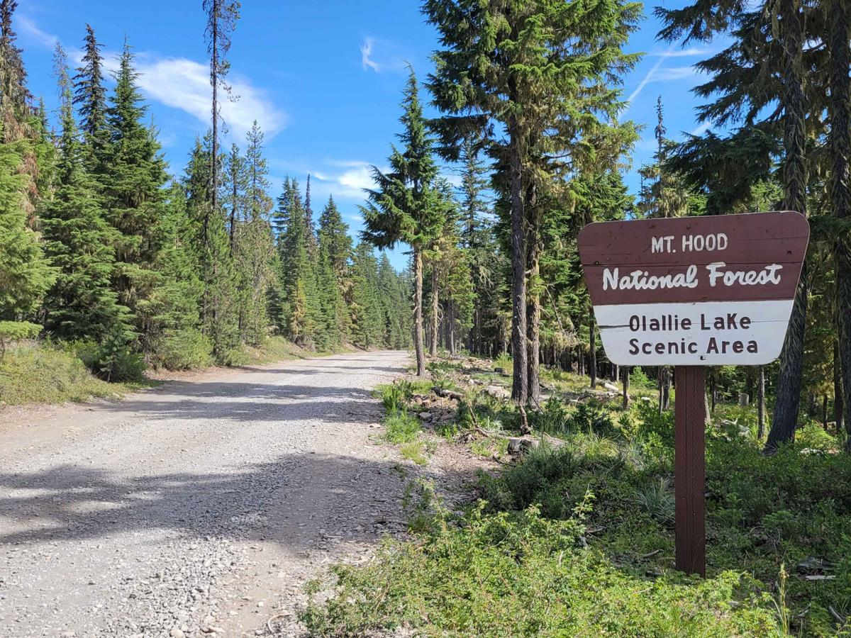 Skyline Road/Olallie Lake - FR 4220 photo 4