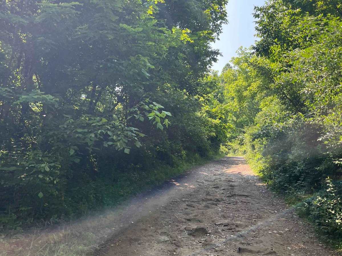 Trail 7 photo 3