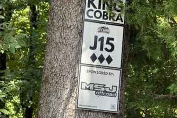 J15 King Cobra
