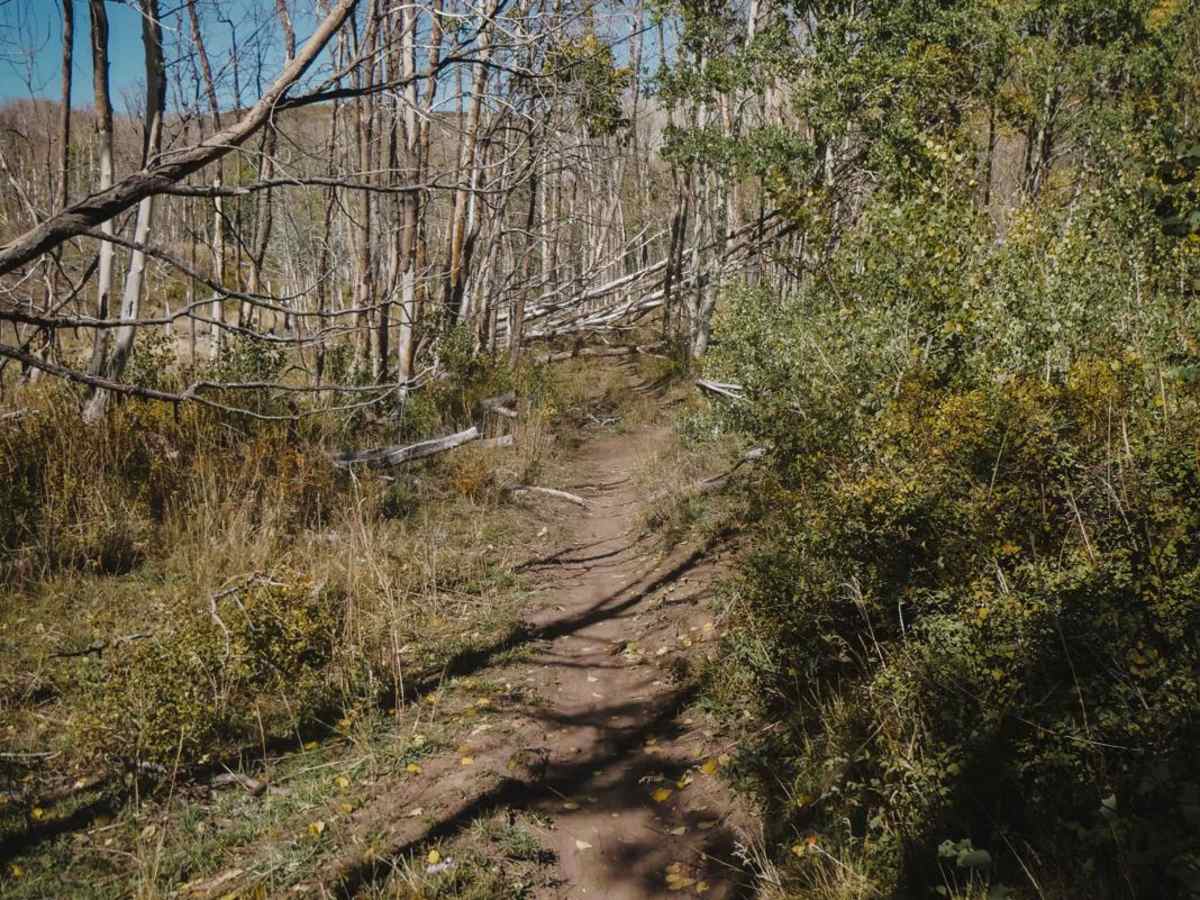 Upper Bench Trail photo 4