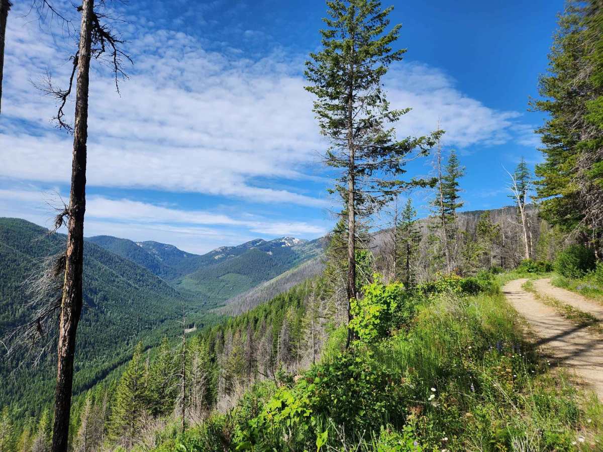 Smith Mountain photo 4