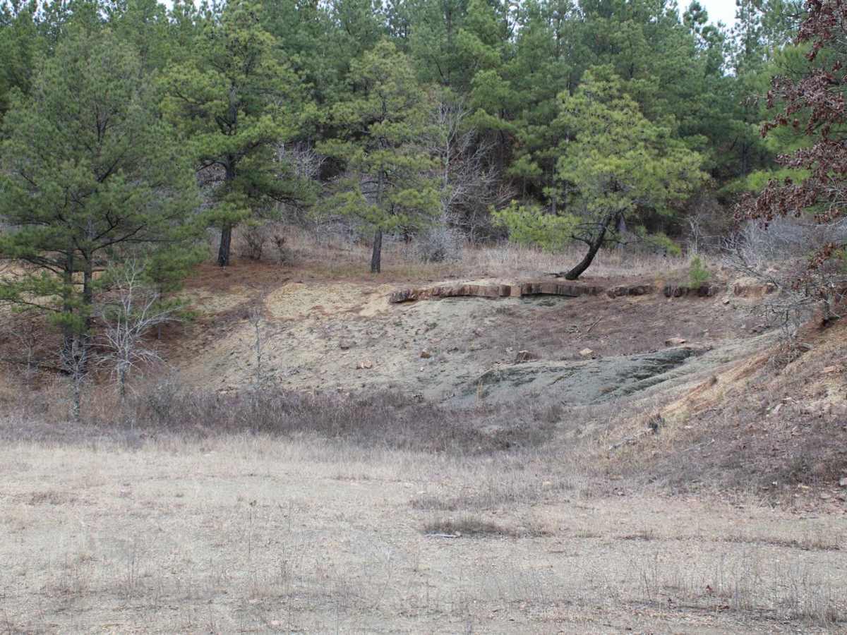 County Road 55 photo 3