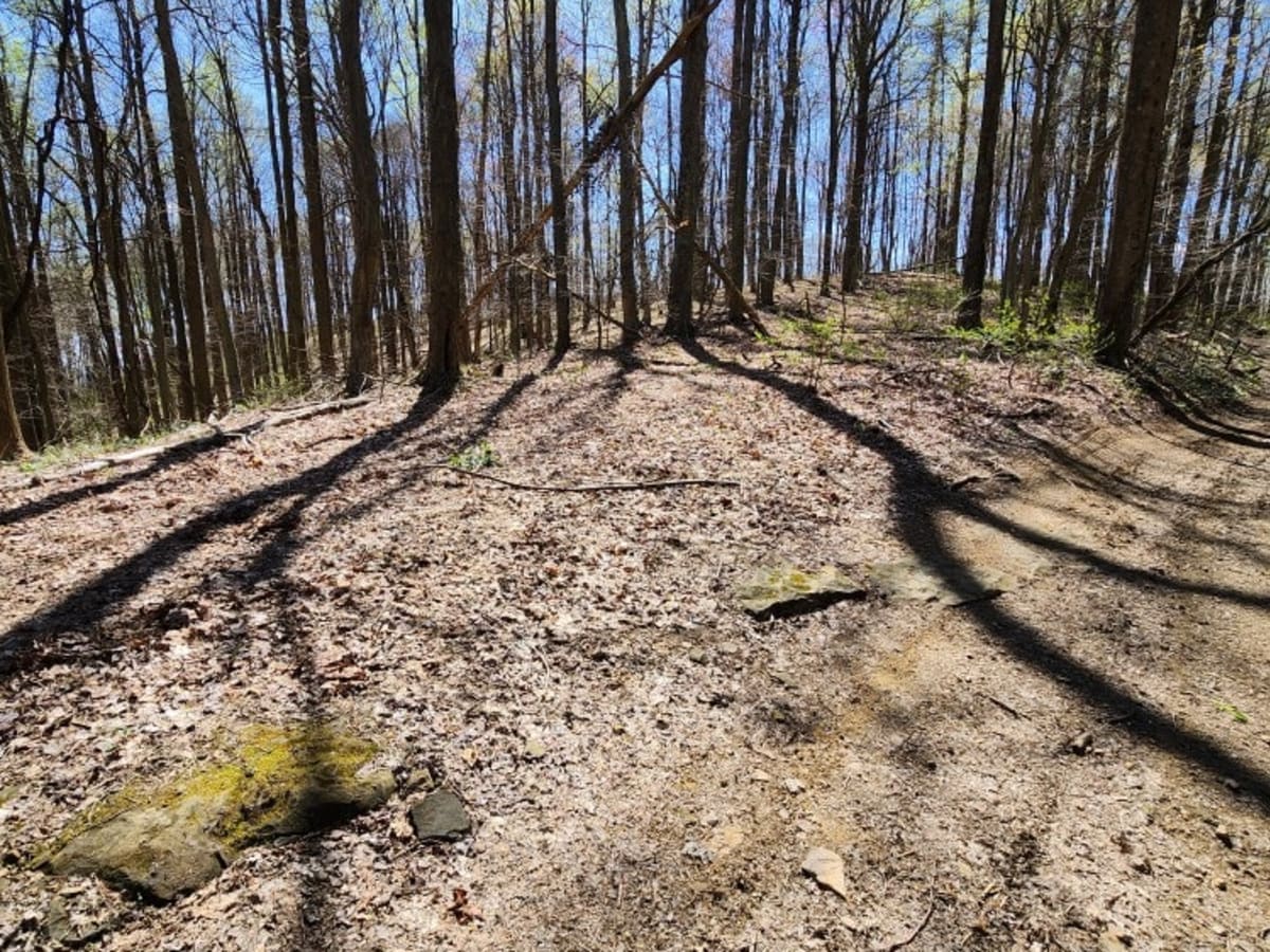 Sunshine Ridge Road photo 2