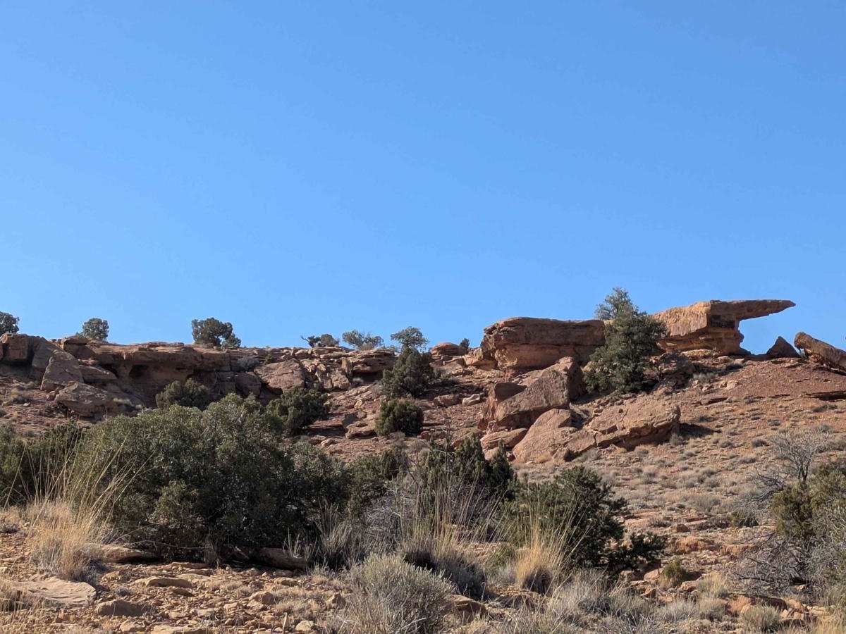 BLM 846 photo 6