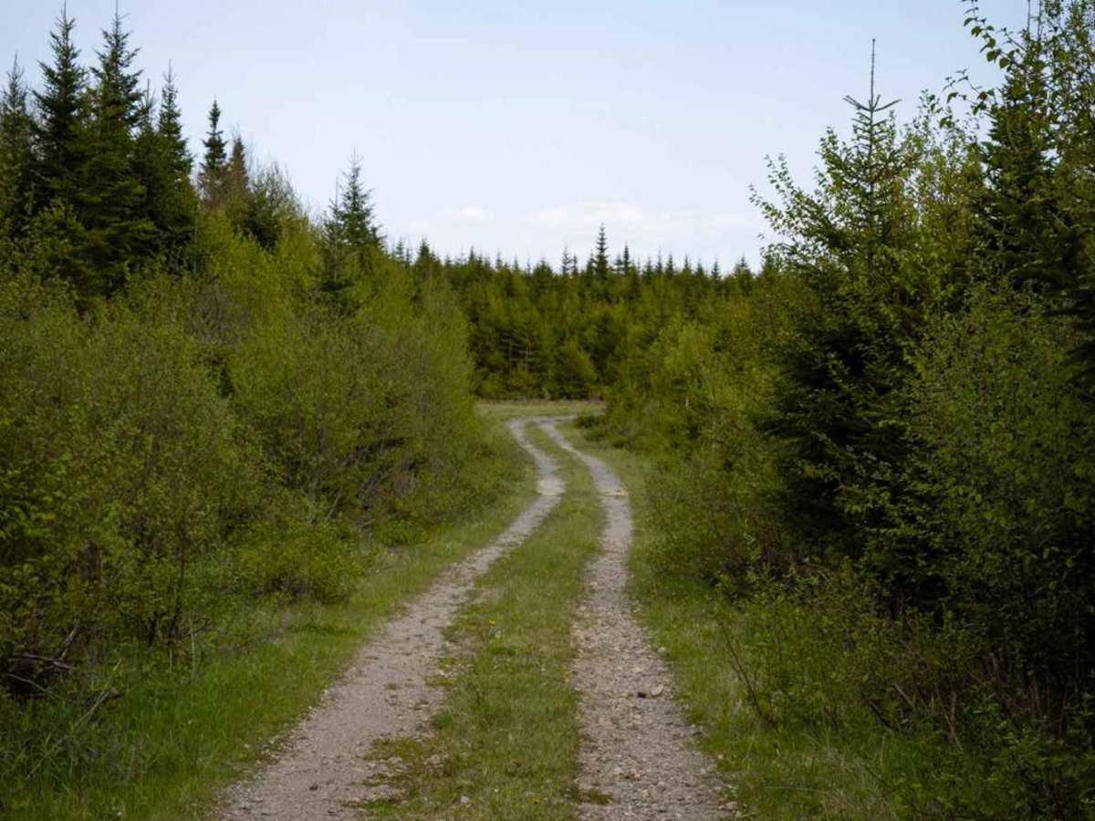Goose Creek Footpath Access photo 5