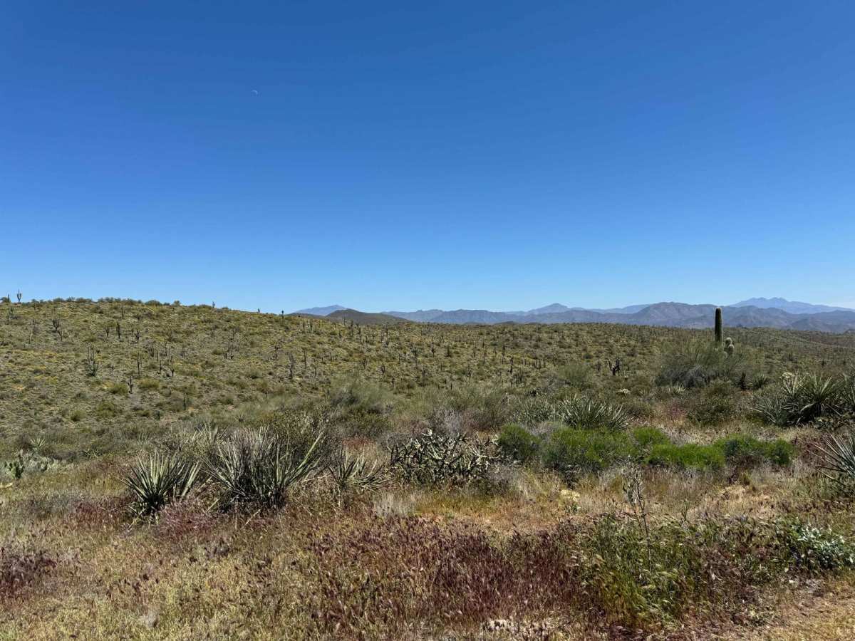 Camp Creek Wash to Bartlett Lake Road photo 6