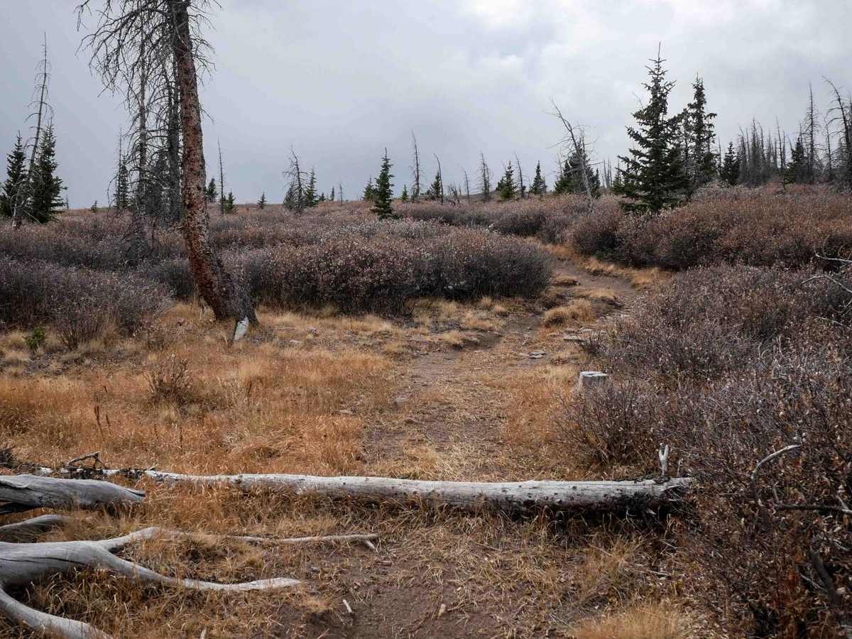 Bowers Peak photo 3