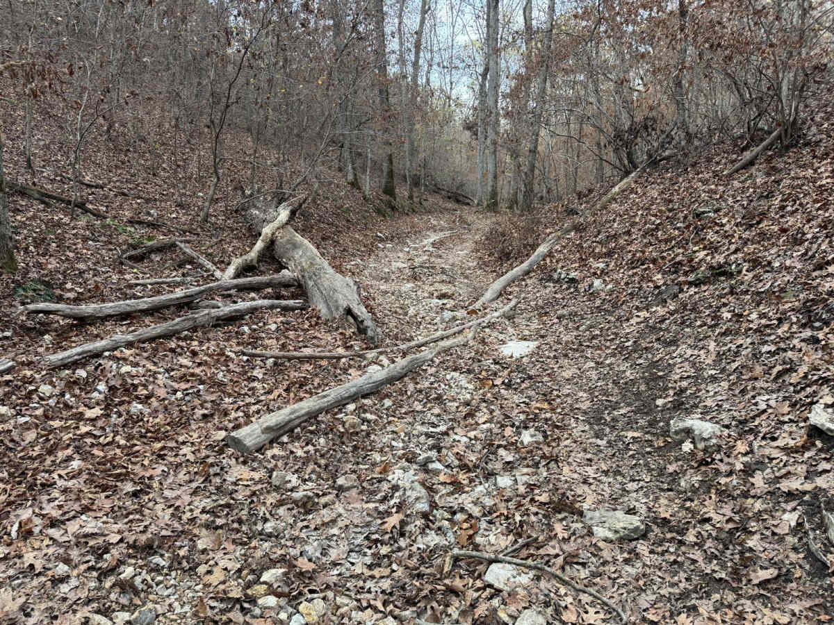 Hang Over Falls 180 photo 4