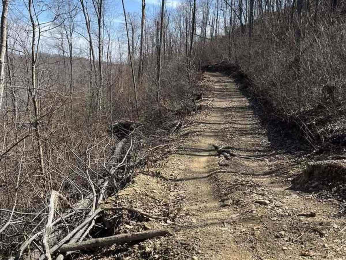 Trail 34 photo 3