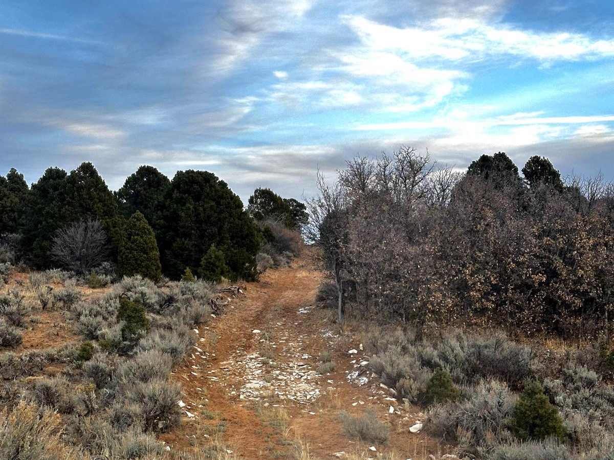 Elkheart Cliffs Overlook photo 4