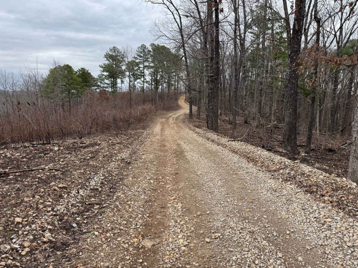 Wildcat Road photo 2