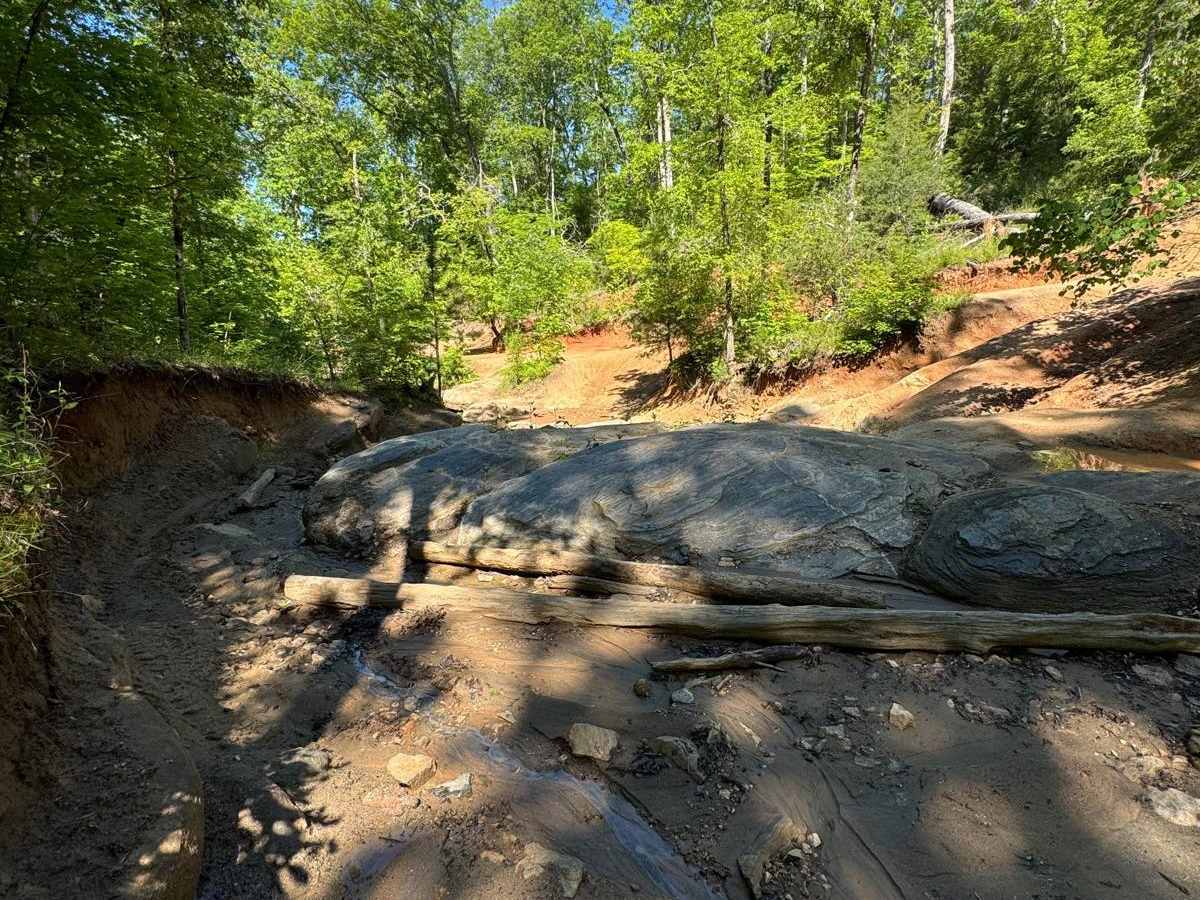 Palmetto Crossing photo 3