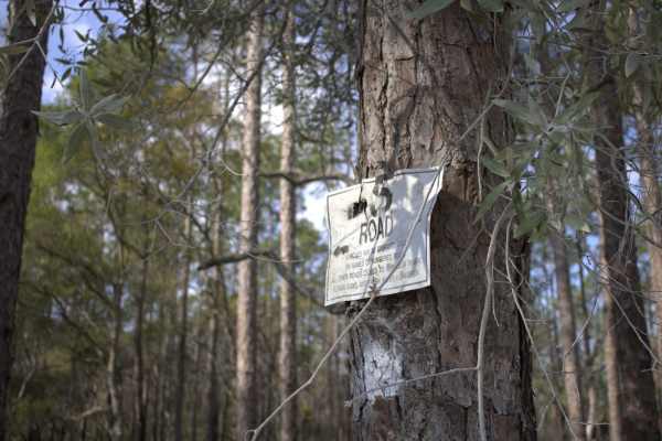 Citrus Wildlife Management | Trail 5