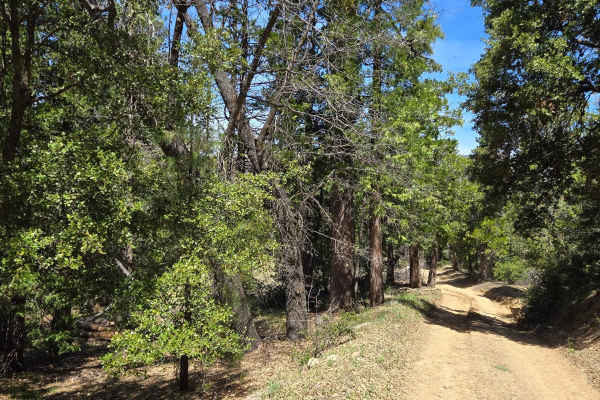 Hill Ranch