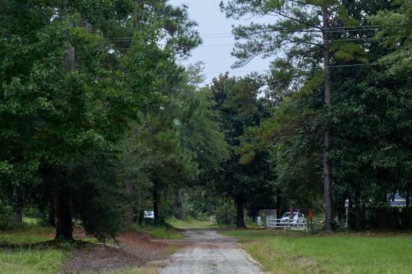Bonneau Ferry WMA - Plantation Entrance