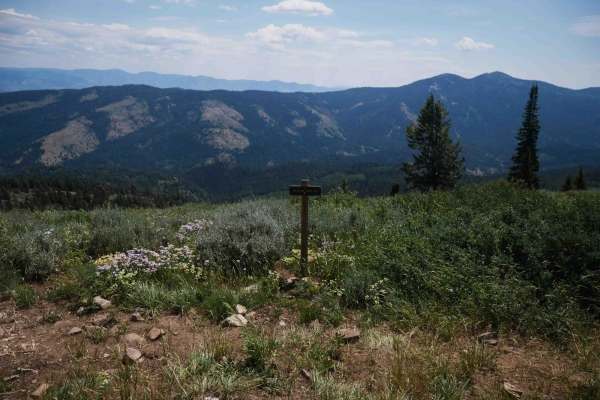 Highline #3316