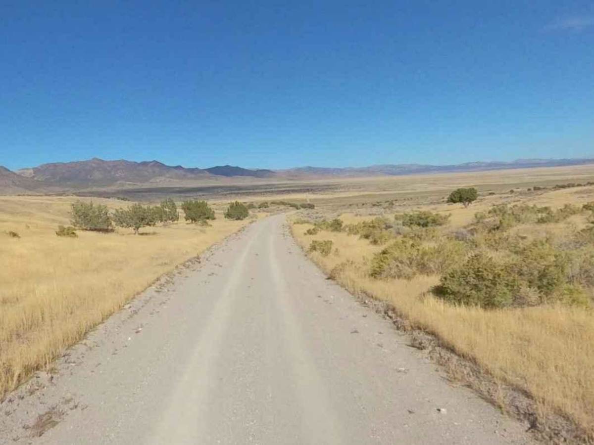 Willow Springs Road-JC8112002 photo 6