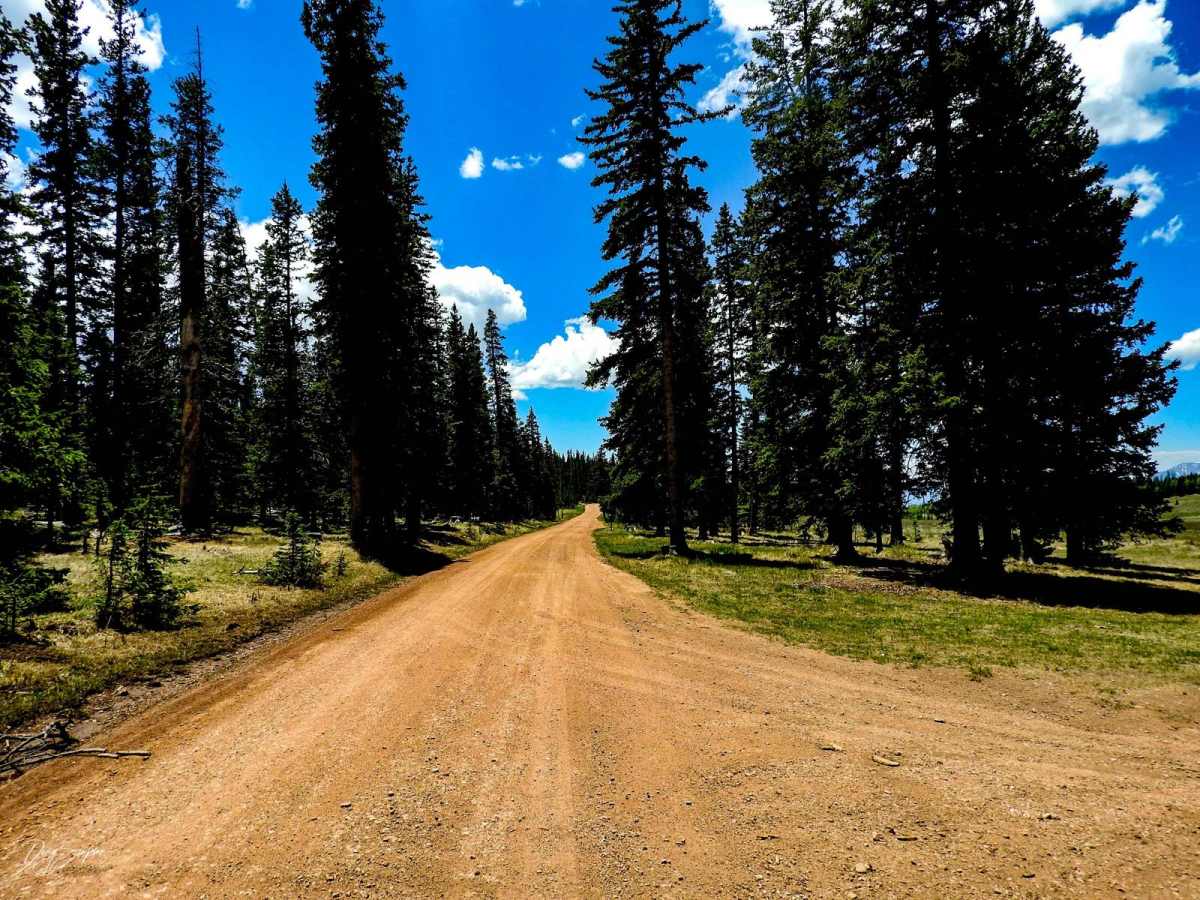 Greenhorn Mountain Road_ Forest Road 639 photo 2
