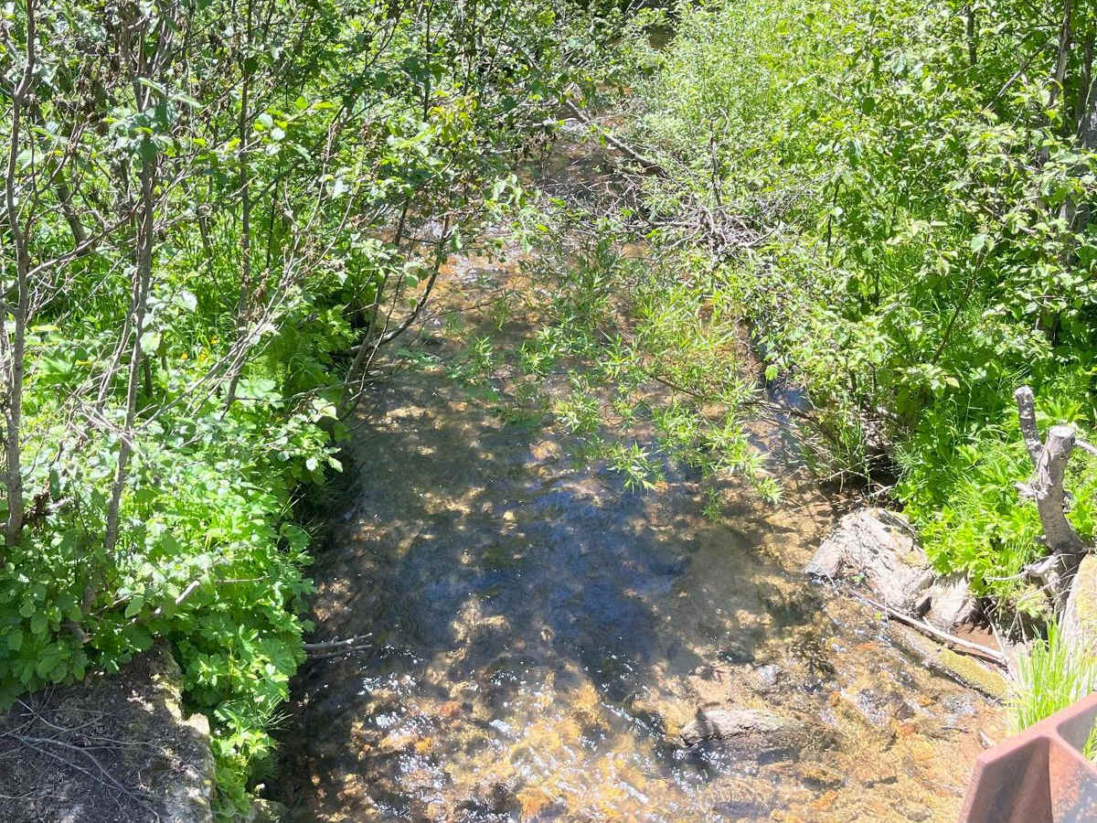 East Fork Rd - Perkins-Morris Grove photo 2